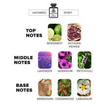 Load image into Gallery viewer, Discovery Set – 5 Bestselling Parfums