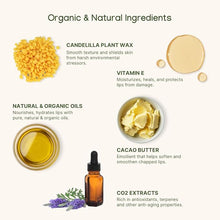 Load image into Gallery viewer, ILIKA Lip balm, Organic, 100% Plant-based, Natural Lip Treatment, COSMOS Certified Organic, PETA Certified Vegan &amp; Cruelty-Free 2 Pack, Ginger Lemon &amp; Almond Cardamom Rose