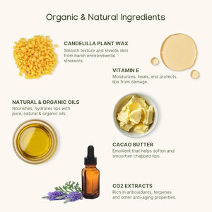 ILIKA Lip balm Organic, Vegan, Plastic-free, 100% Plant-based, 2X Volume, COSMOS Certified Organic, PETA Certified Vegan & Cruelty-Free, 2 Pack, Orange Tangerine