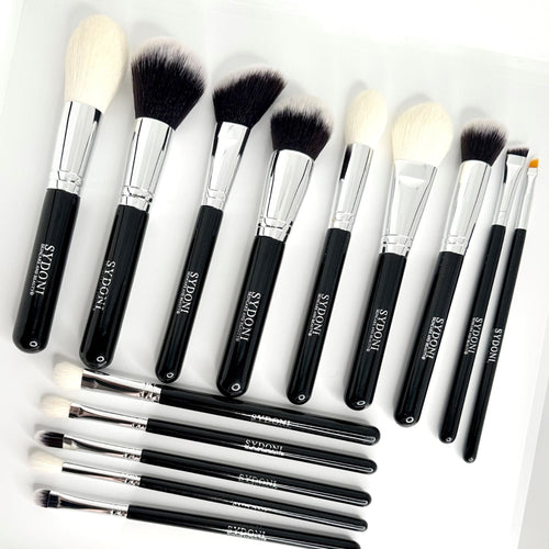COMPLETE 14 PIECE PROFESSIONAL MAKEUP BRUSH COLLECTION with BRUSH HOLDER